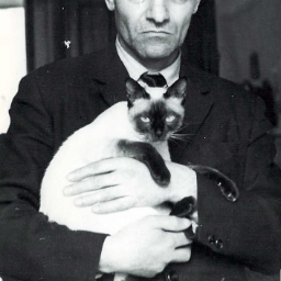 Юрий Кнорозов Фото