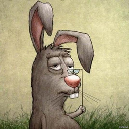 Про смешного зайца. Североамериканский кролик Зануда. Смешной заяц. Старый заяц. Косой заяц.