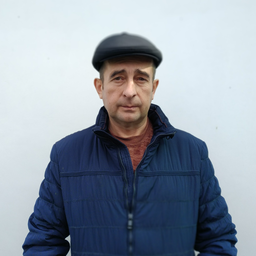 dimdan