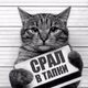 Аватар пользователя nevedimka111