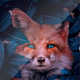 ������ ������������ Skarket01