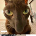 Strafstfuyte