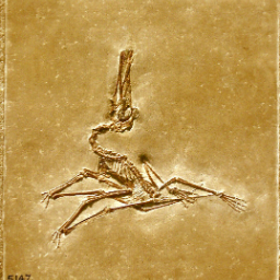 drevniashka