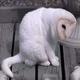 ����� ����� ������ ���� �����������