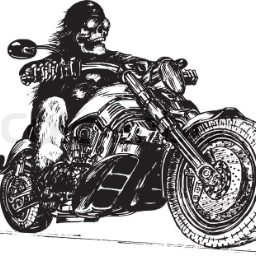 FreeBiker