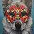 RareFlower