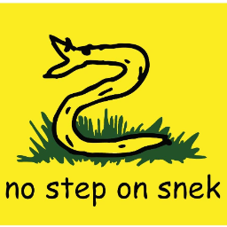NoStepSnek