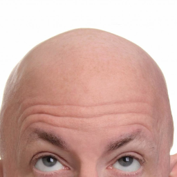 BaldBob