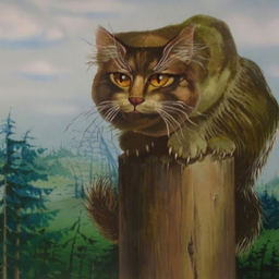 catbayun86