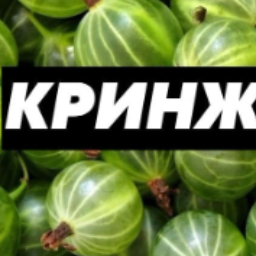 uPopaBylaSobaka
