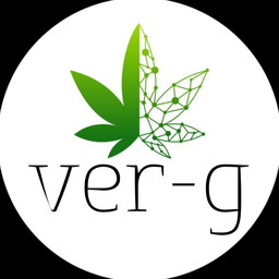 StudioVerG