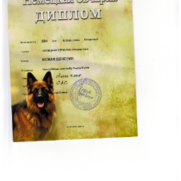 Alenochka111