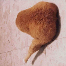 Karmakotik