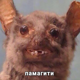 Masarad