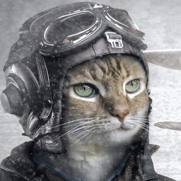 Oleg.komb