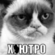 ������ ������������ Klofi