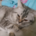 kitymama