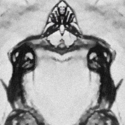 AstroFrog