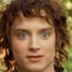 frodofixxxer