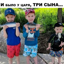 kolnaut
