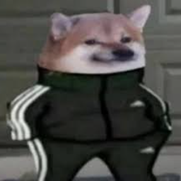 Pa3Py6aTeJIb