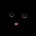 0raccoon