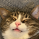 ������ ������������ Funkspiel