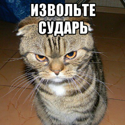 CopperNiK007
