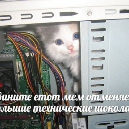 qwertpoi2