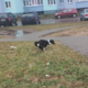 ������ ������������ valer100