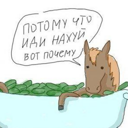 user4517828