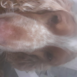 Georgy06