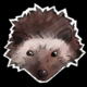 Аватар пользователя ThedgehoG