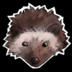 ThedgehoG