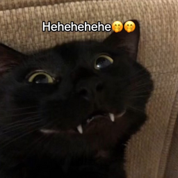 missexcluzive