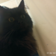������ ������������ LookAtMeImHooman