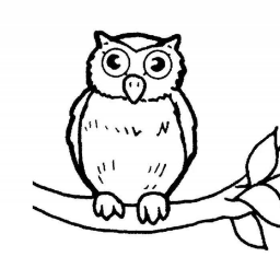 StrixBubo