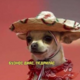 ������ ������������ CalmDude