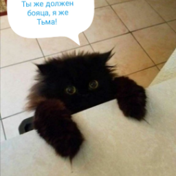 user5057659