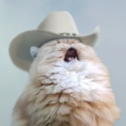 Орущий кот