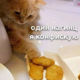������ ������������ Regvark