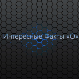 winterkill4