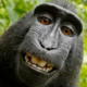������ ������������ SpunkyMonkey1998