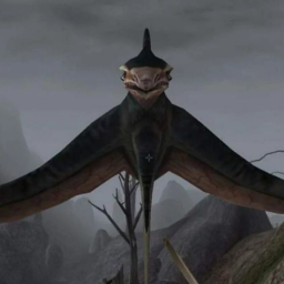 kotomord