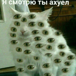 LiliSnape