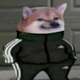 ������ ������������ analfox