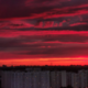 ������ ������������ LelliaMakov