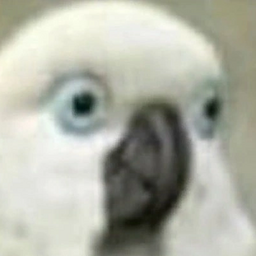 user5254292