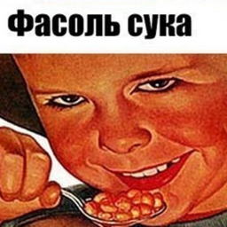 user5269443