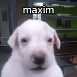 user5325178